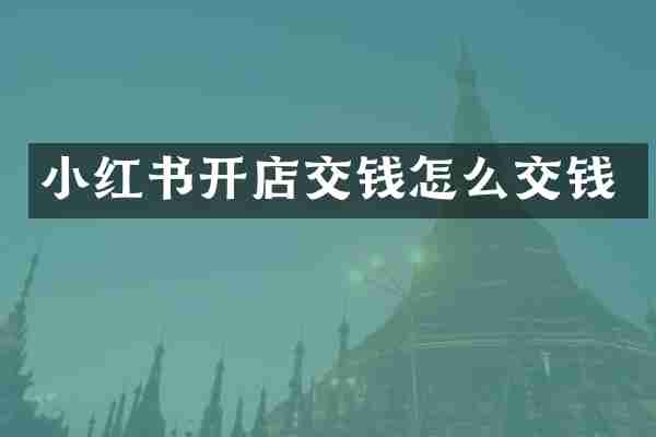 小红书开店交钱怎么交钱