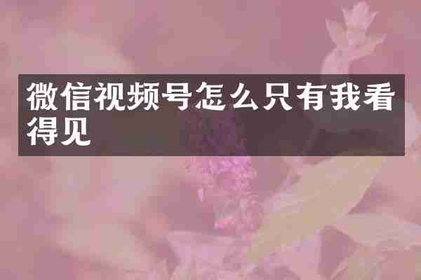 微信视频号怎么只有我看得见