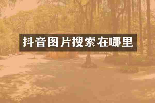 抖音图片搜索在哪里