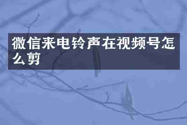 微信来电铃声在视频号怎么剪