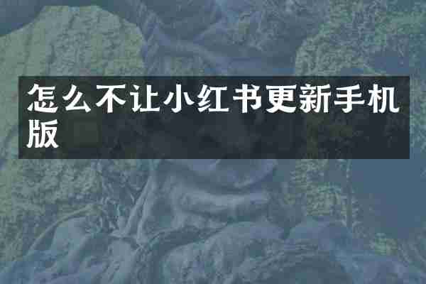 怎么不让小红书更新手机版