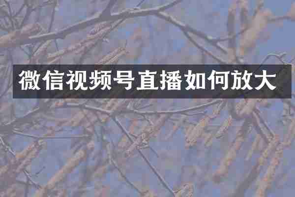 微信视频号直播如何放大