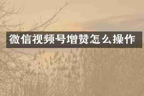 微信视频号增赞怎么操作