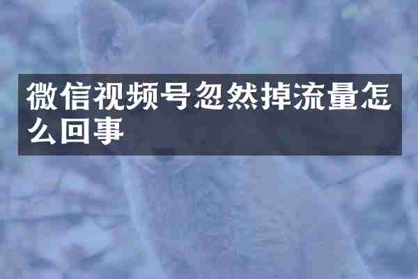 微信视频号忽然掉流量怎么回事