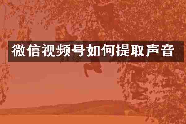 微信视频号如何提取声音