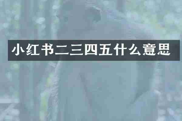 小红书二三四五什么意思