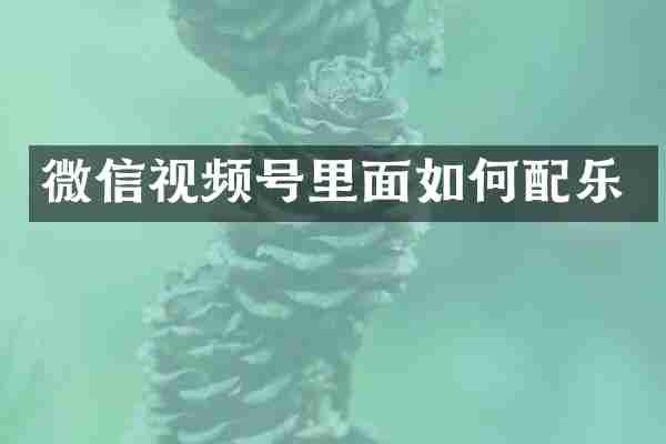 微信视频号里面如何配乐