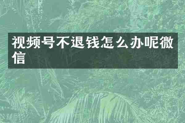 视频号不退钱怎么办呢微信