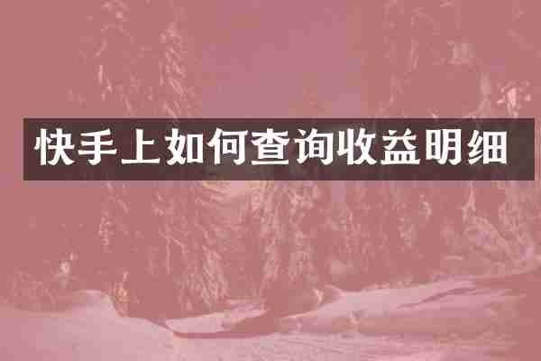 快手上如何查询收益明细