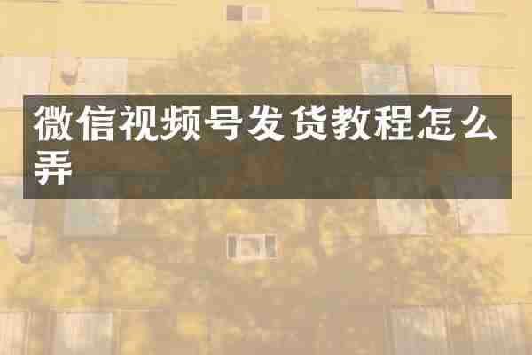微信视频号发货教程怎么弄