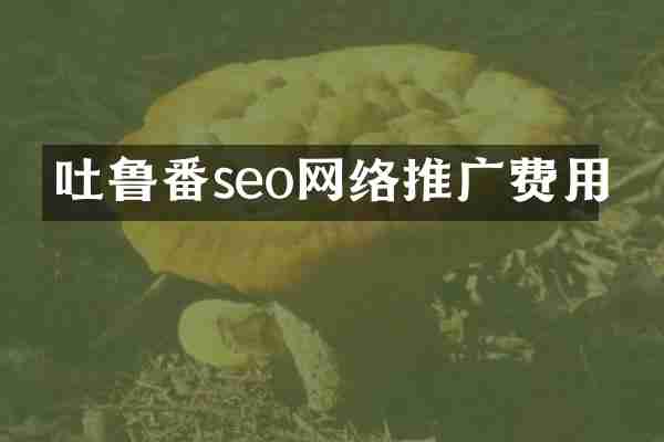 吐鲁番seo网络推广费用