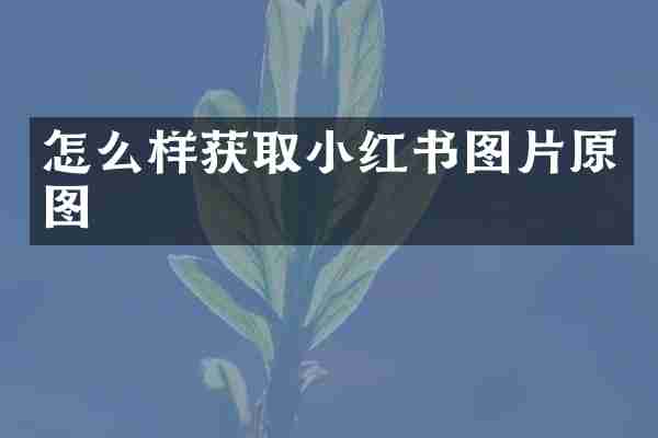 怎么样获取小红书图片原图