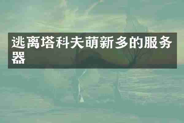 逃离塔科夫萌新多的服务器