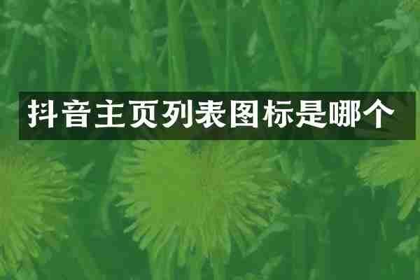 抖音主页列表图标是哪个