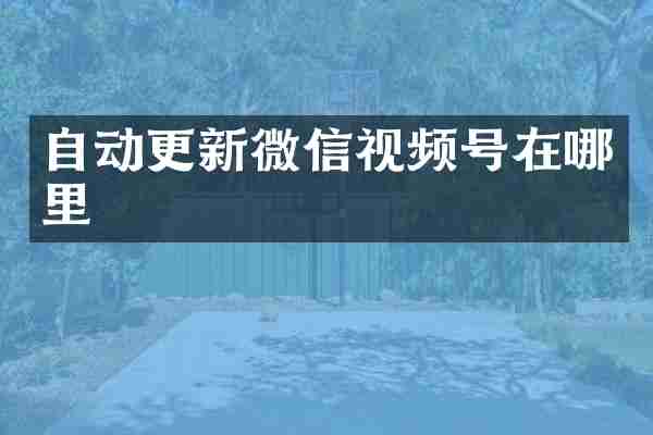 自动更新微信视频号在哪里