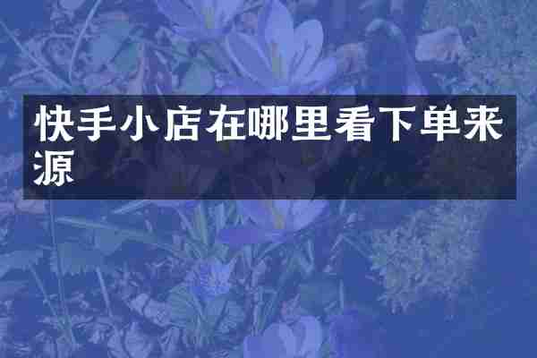 快手小店在哪里看下单来源
