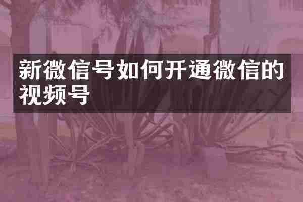 新微信号如何开通微信的视频号