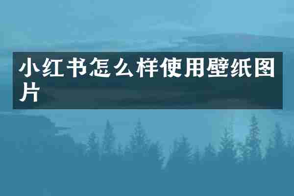 小红书怎么样使用壁纸图片