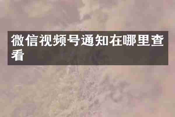 微信视频号通知在哪里查看