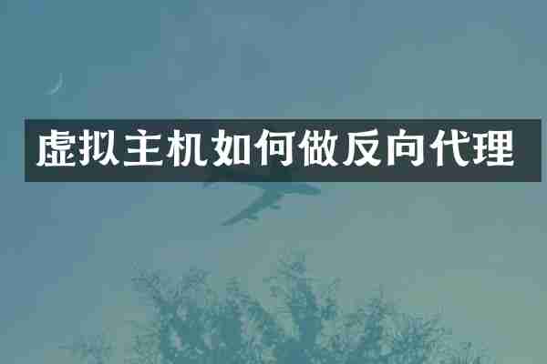 虚拟主机如何做反向代理