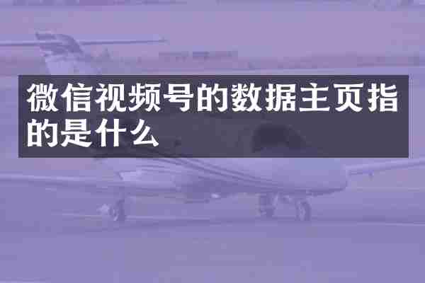 微信视频号的数据主页指的是什么