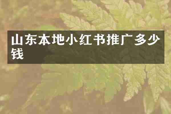 山东本地小红书推广多少钱