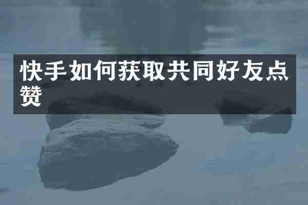 快手如何获取共同好友点赞