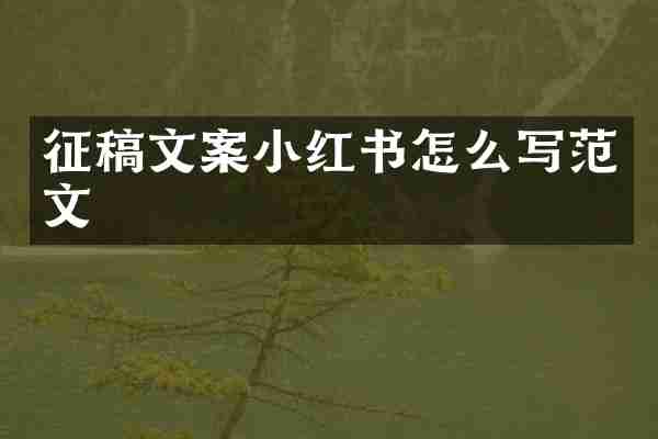 征稿文案小红书怎么写范文