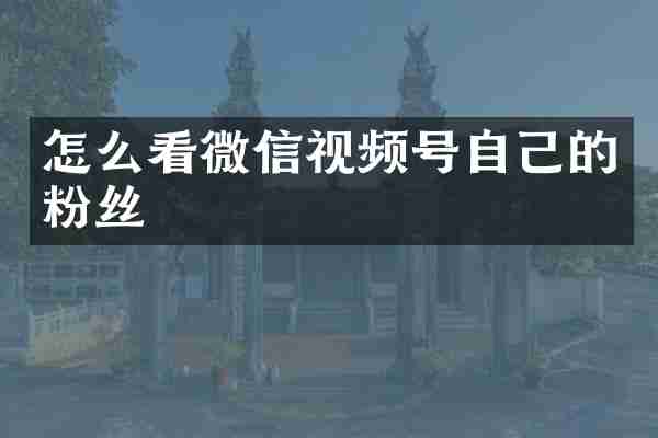 怎么看微信视频号自己的粉丝