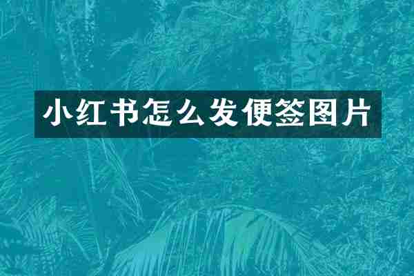 小红书怎么发便签图片