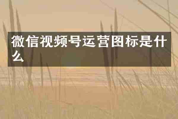 微信视频号运营图标是什么