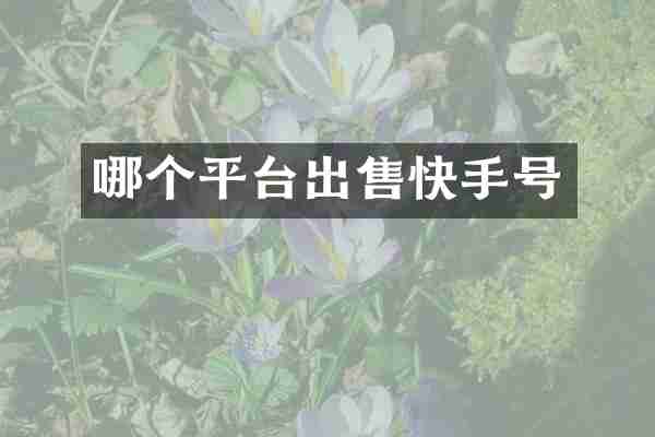 哪个平台出售快手号