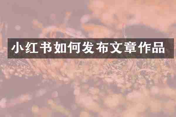 小红书如何发布文章作品