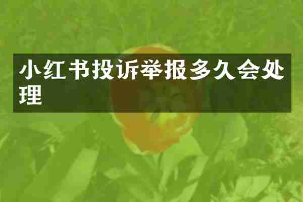 小红书投诉举报多久会处理