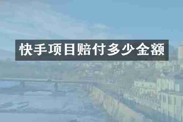 快手项目赔付多少金额