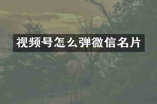 视频号怎么弹微信名片