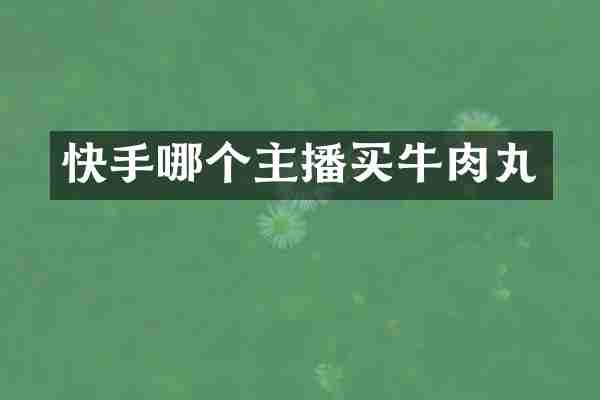 快手哪个主播买牛肉丸