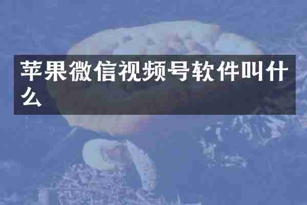 苹果微信视频号软件叫什么