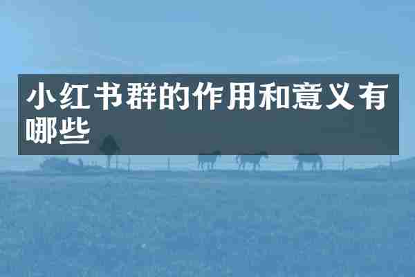 小红书群的作用和意义有哪些
