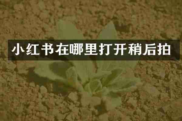 小红书在哪里打开稍后拍