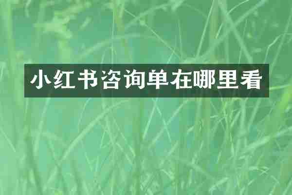 小红书咨询单在哪里看