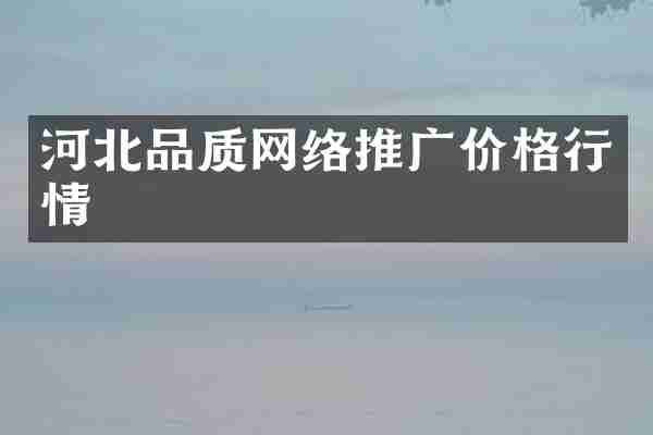 河北品质网络推广价格行情