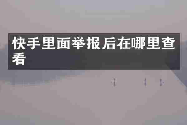 快手里面举报后在哪里查看