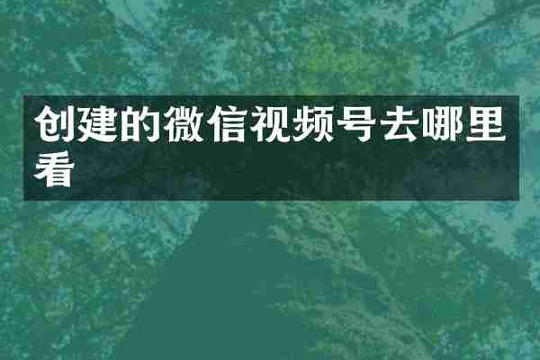 创建的微信视频号去哪里看
