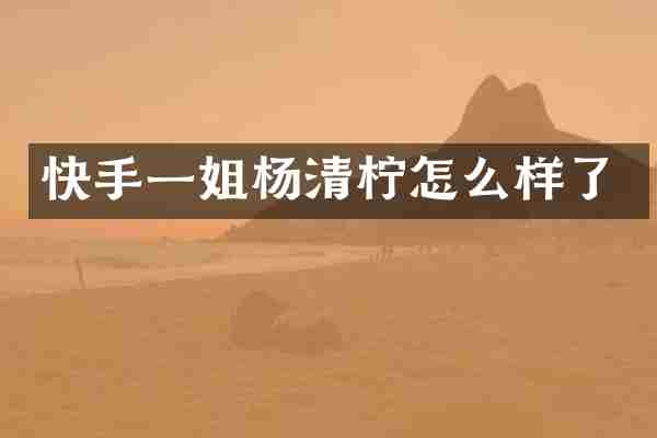 快手一姐杨清柠怎么样了