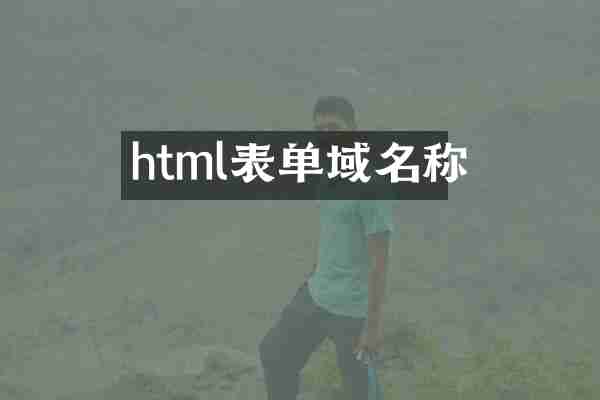 html表单域名称