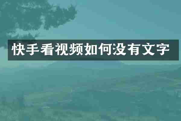 快手看视频如何没有文字