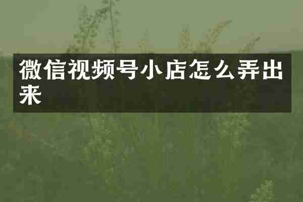 微信视频号小店怎么弄出来