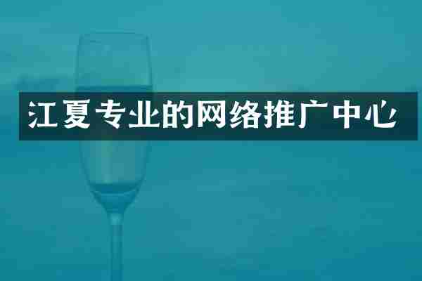 江夏专业的网络推广中心