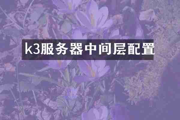 k3服务器中间层配置
